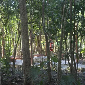 https://glamping-mayan-glam.tulum-hotels.net
